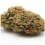 Шишки AK47  (Гидропоника, Бошка) VHQ в Кисловодске