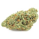 Шишки OG Kush  (Гидропоника, бошки) VHQ в Кисловодске